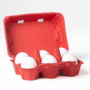 Red 6‑egg duck egg carton holding duck eggs