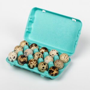 Carton of speckled quail eggs, open lid.