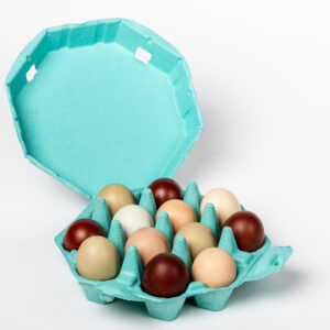 Turquoise octagon 12-egg chicken egg carton holding eggs