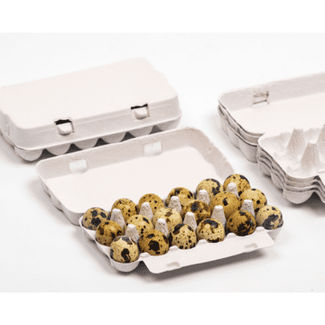 Open and closed grey 18-egg Jumbo Quail egg cartons